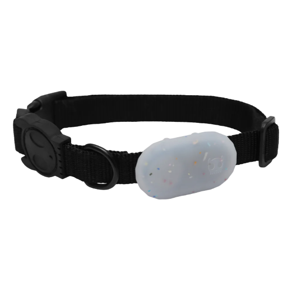 Zeedog Galaxy Tag Holder Jelly