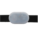 Zeedog Galaxy Tag Holder Jelly