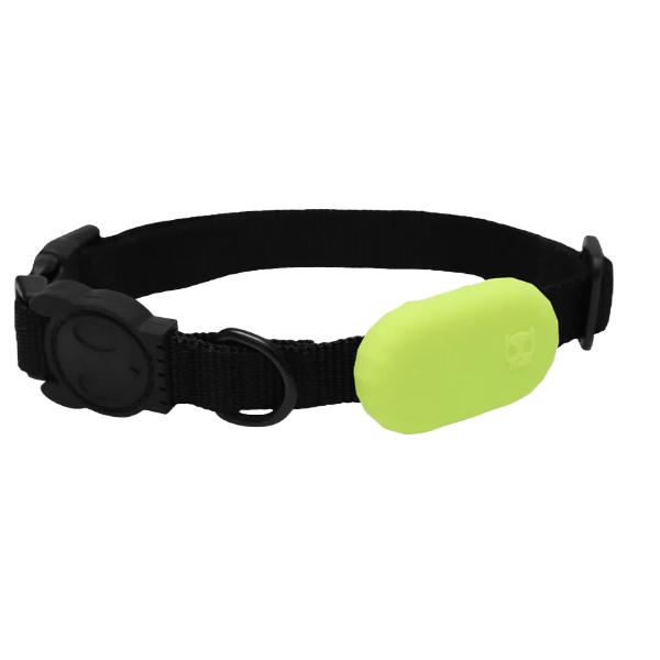 Zeedog Galaxy Tag Holder Lime