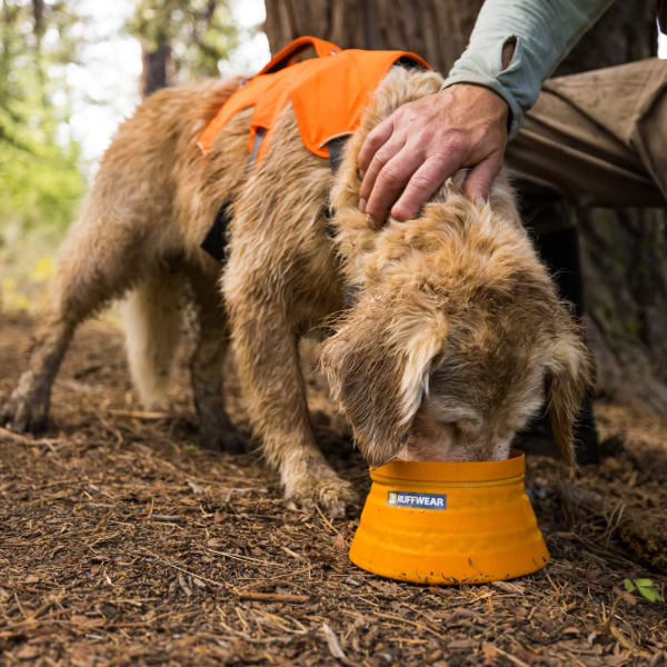 Ruffwear Bivy Bowl Salamander Orange