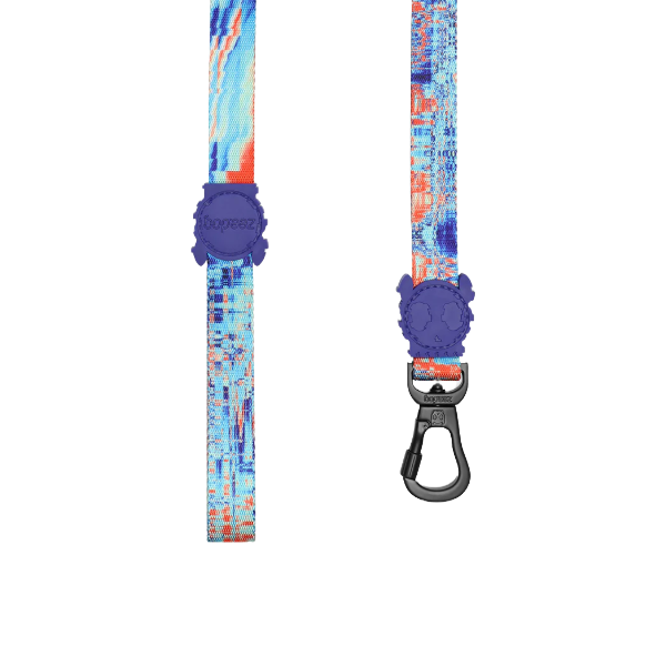 Zeedog Glitch Error 404 Leash