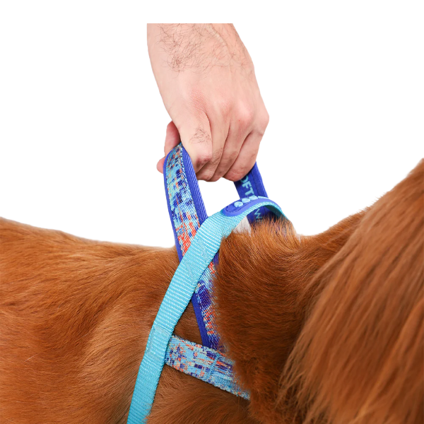 Zeedog Glitch Error 404 Softer Walk Harness