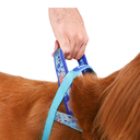 Zeedog Glitch Error 404 Softer Walk Harness