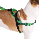 Zeedog Glitch Error 410 Softer Walk Harness