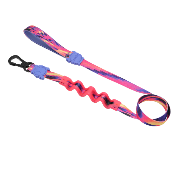 Zeedog Glitch Error 500 Ruff Leash