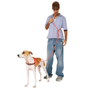 Zeedog  Gazelle Handsfree Leash
