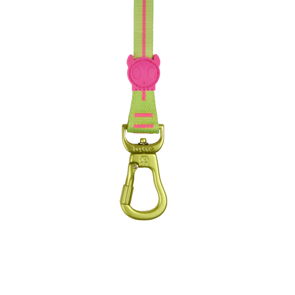 Zeedog Long Leash CMYK