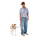 Zeedog Tokyo Handsfree Leash
