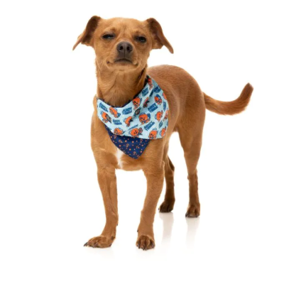 FuzzYard Bandana - Ahoy There!