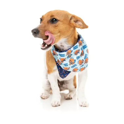 FuzzYard Bandana - Ahoy There!