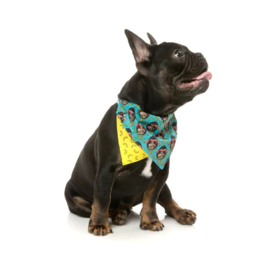 FuzzYard Bandana - Gor-illz