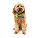 FuzzYard Bowtie - Sk8ter Gator
