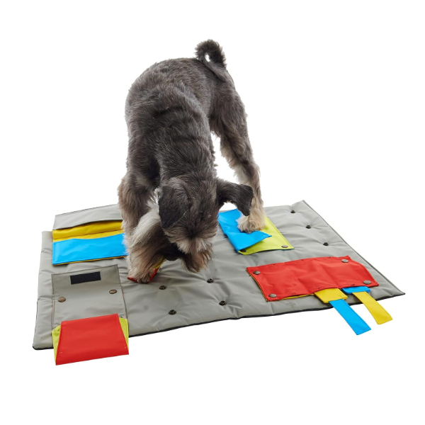 Buster Activitymat, Tarea Ratonera. Nivel 3