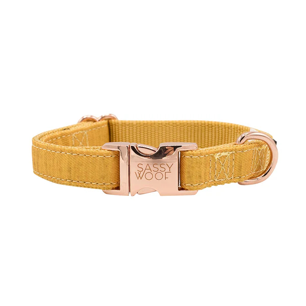 Holy Pets Sunflower Fields Collar S