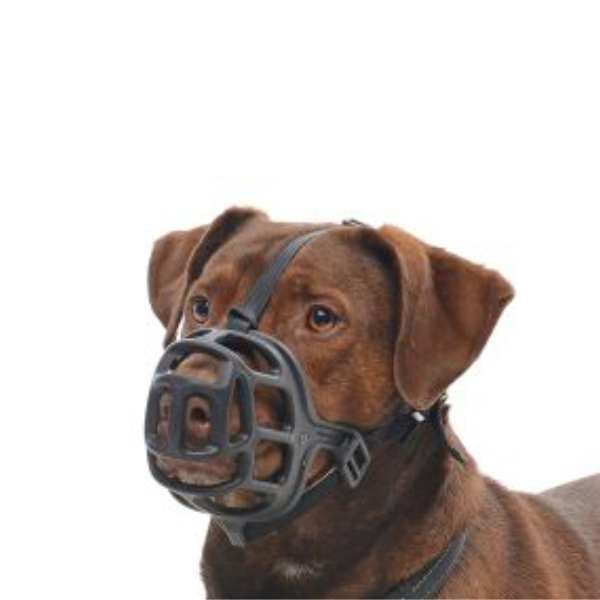 Buster Bozal, Talla 6. Para Perros