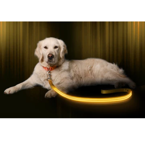 Ilumiseen -Led Dog Leash Yellow