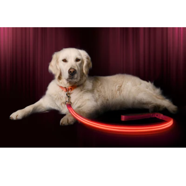 Ilumiseen -LED Leash Rosada
