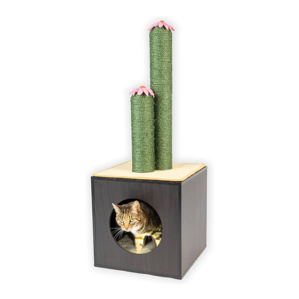 Pet Fusion Rasgador Cubo (Cactus)
