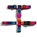 Zeedog H-Harness - Prisma