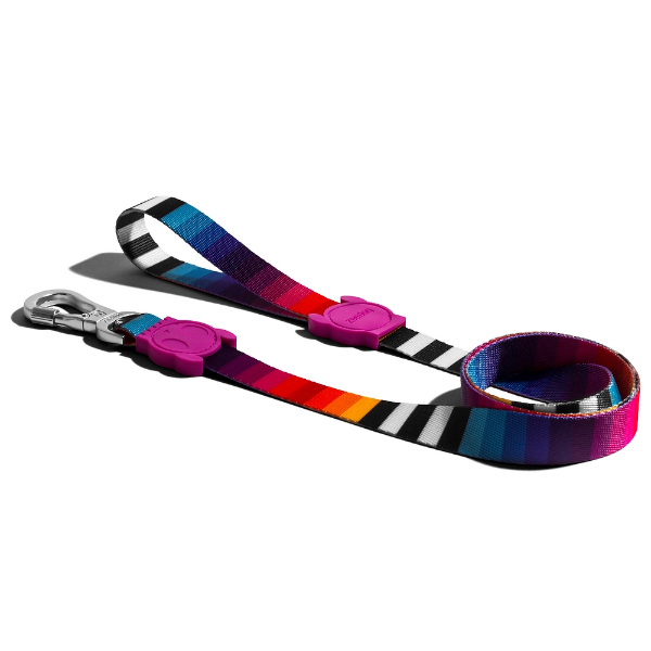 Zeedog Leash - Prisma