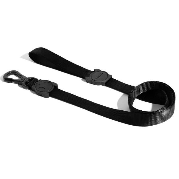 Zeedog Leash - Gotham
