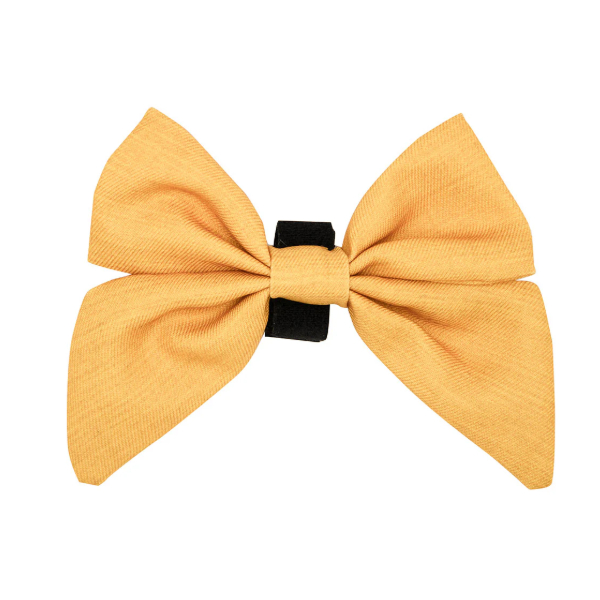 Holy Pets Sunflower Fields Lacito / Corbatin