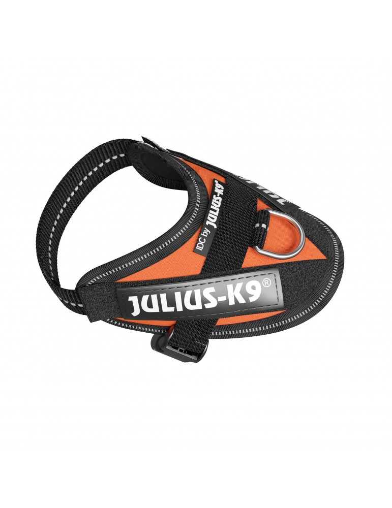 Juliusk9 Powerharness - Uv Orange