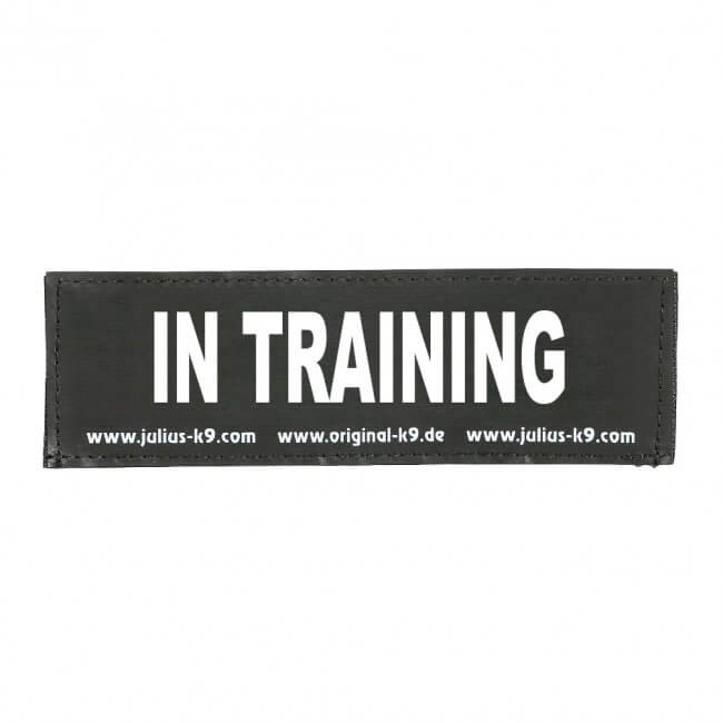 Juliusk9 Parche In Training