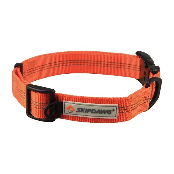 Skipdawg Collar Orange