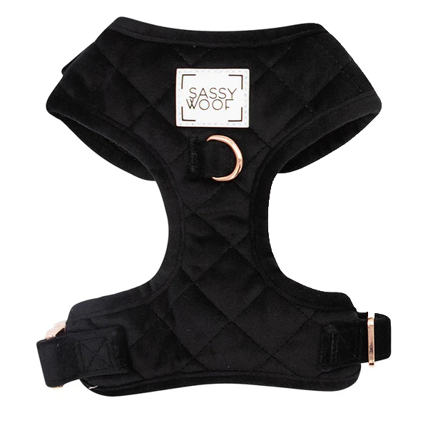 Holy Pets Velvet Arnes No Reversible