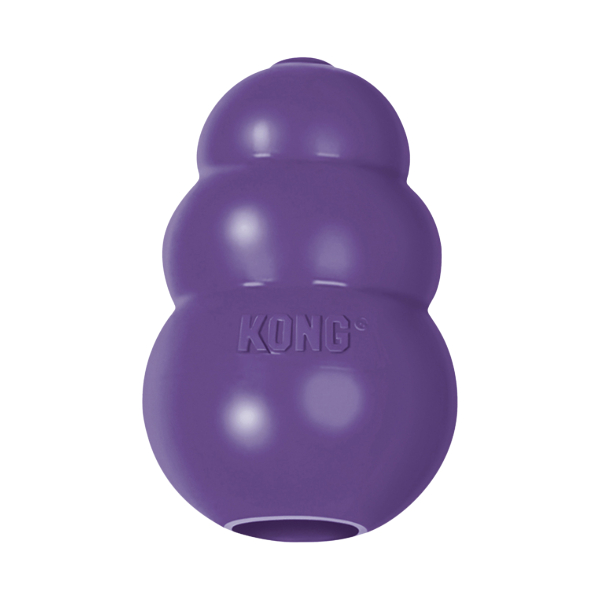 Kong Senior