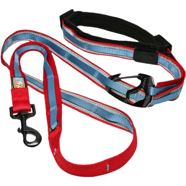 Kurgo -Quantum 6-In-1 Dog Leash