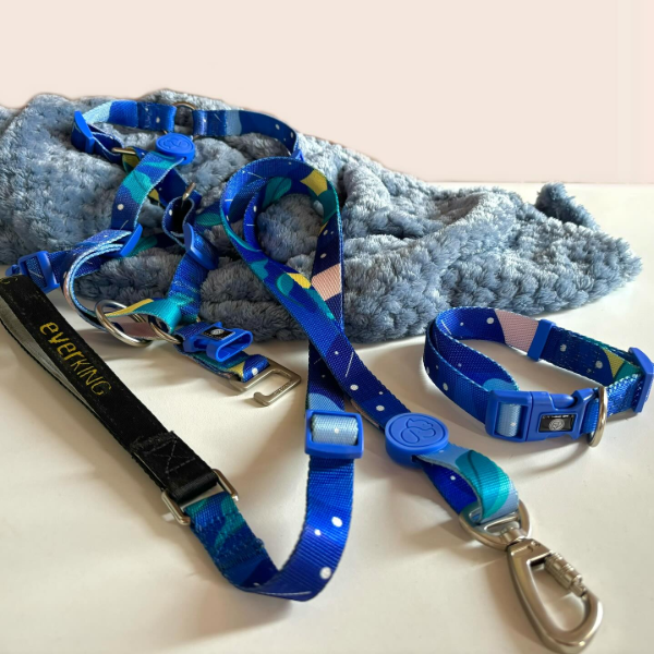 Philozoo Everking Collar Galaxia