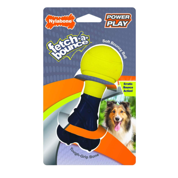 Nylabone - Fetch a Bounce