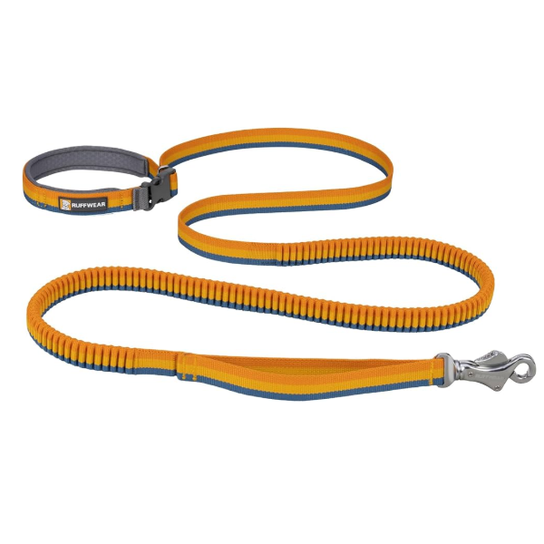 Ruffwear Roamer Bungee Dog Leash - Yellow Snow