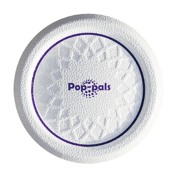 Gigwi Pop-Pals Everlasting Durable Flying Disc