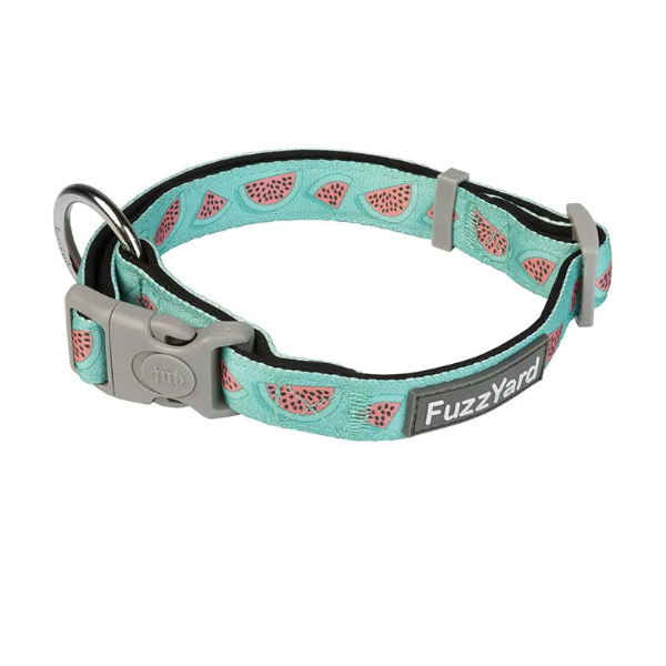 FuzzYard Collar Walking - Summer Punch - Collar