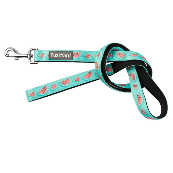 FuzzYard Lead- Walking - Summer Punch