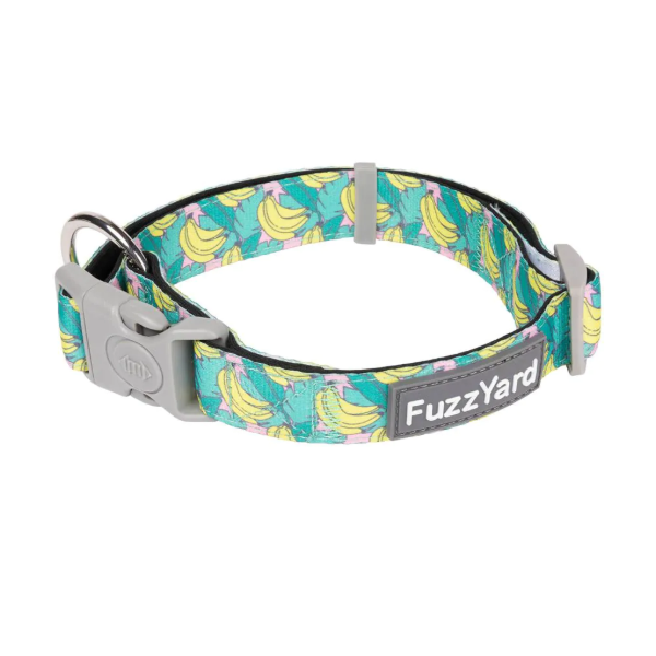 FuzzYard Dog Collar - Bananarama
