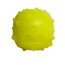 Zeedog Dog Toy - Rob The Microbe