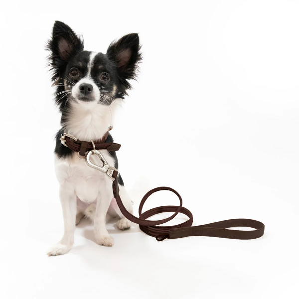 Obi Pet Supplies Correa - Rufo Caoba