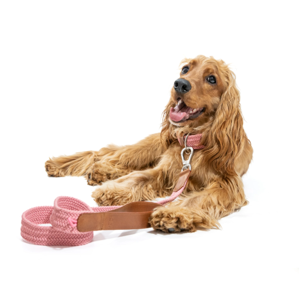 Obi Pet Supplies Correa - Rufo Rosa