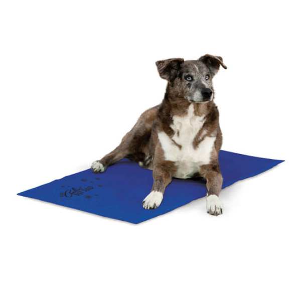 K&H -Coolin Pm2738 Blu Xl