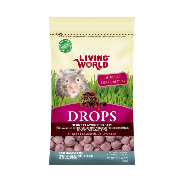 Living World Bocadillo de Frutas para Hámster 75g