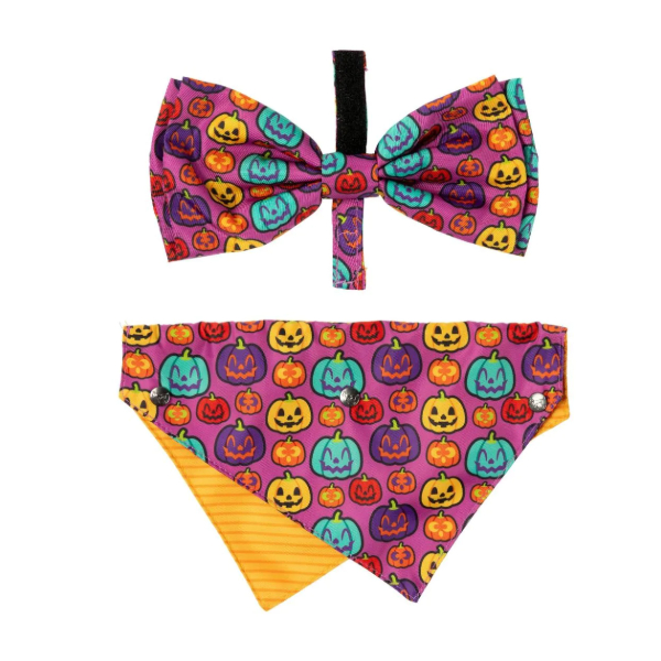 FuzzYard Halloween - Dog 2 Pack - Oh My Gourd!