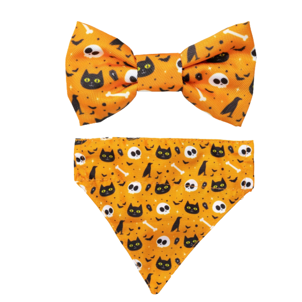 FuzzYard Halloween- Cat Fashion Pack - Spooky Kitty