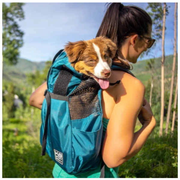 K9 - Trainer Turquesa S