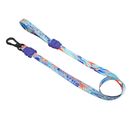 Zeedog Glitch Error 404 Leash