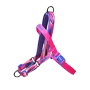 Zeedog Glitch Error 500 Walk Harness
