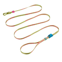 Zeedog Long Leash CMYK